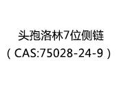 頭孢洛林7位側(cè)鏈(CAS:75028-24-9)